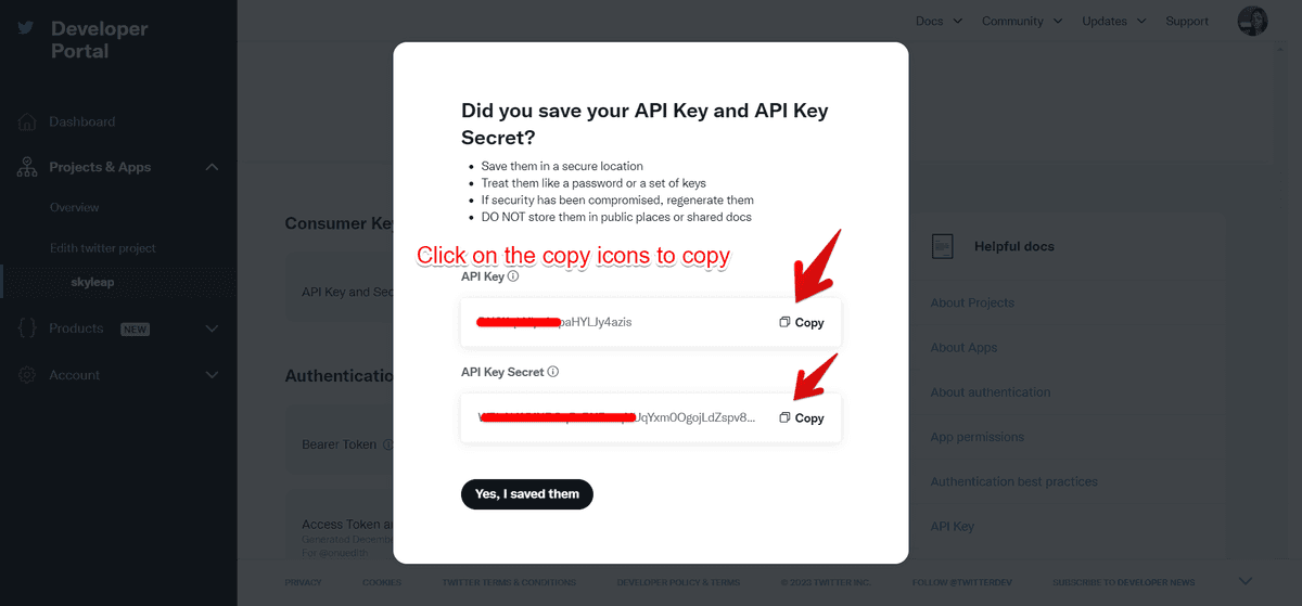 Twitter setup - Copy API Keys