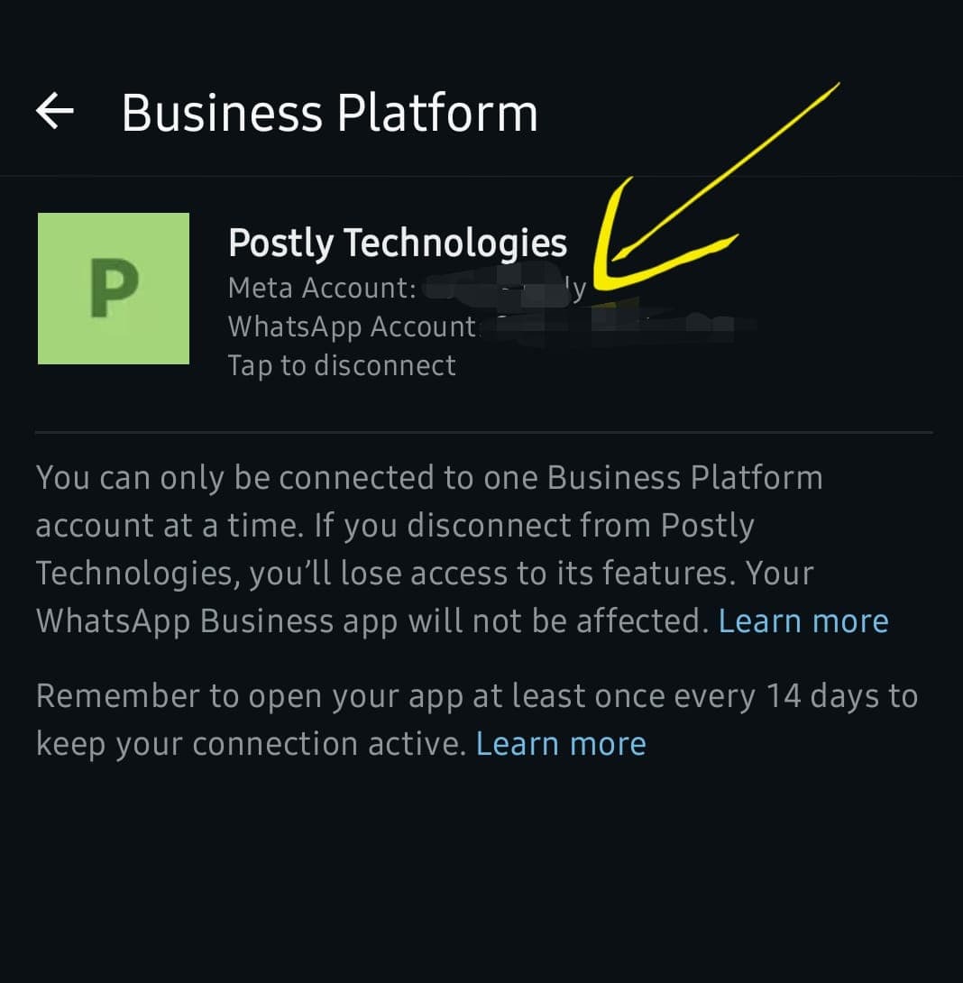 WhatsApp Business Platform screen showing the connected provider and disconnect option